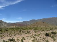 Road to Potosi