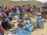 Tarabuco Market