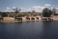 van Chobe naar Vic Falls - 2