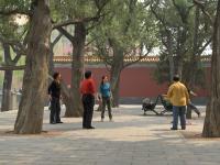What you can do in the park