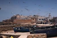 Day trip to Essaouira