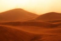 Camel trek