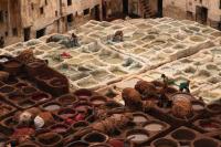 The tanneries