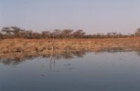 Lake Kariba