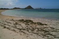 Lombok - Kuta, Malimbu, Sade