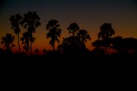 Botswana - Okavango Delta, finally here