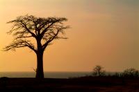 Bakoteh to Casamance to Sao Vicente