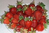 Sweet strawberries in Wojtkówka...