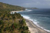 Sunbathing, biking and wading among corals