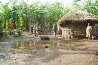 Visiting Pygmies (Uganda)