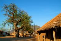 Songa on Lake Malawi (Malawi)