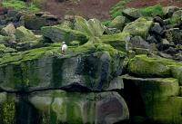 Iceland - pictures