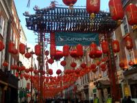Happy New Chinese Year of the Ox