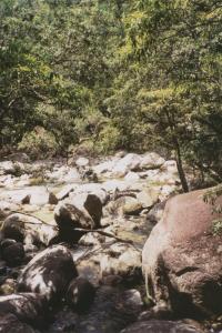 Mossman Gorge