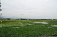 150 kilometers during one day