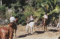 Magnetic Island - op stap, maar eerst op de bus wachten.