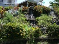 July's Newsletter