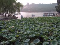 Beijing (CN) - emperors' palaces & great night out