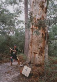 Fraser Island - een leuke wandeling