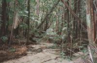 Fraser Island - de laatste avond