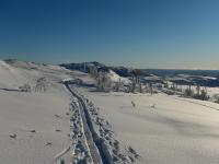 Norwegian winter opportunieties...