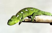 Madagascar - packing up
