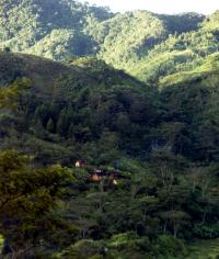 Madagascar - Ranomafana