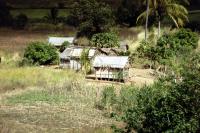 Madagascar - Ranomafana, Fianarantsoa, Ihosy