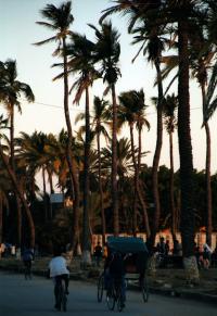 Madagascar - Toliara (Tulear); day one