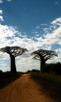 Madagascar - Toliara (Tulear) to Morombe