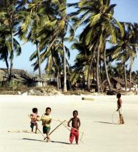 Madagascar - Morondava; day two