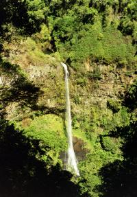 Madagascar - Ankarana Special Reserve