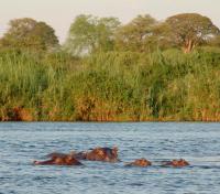 Namibia - Caprivi Strip, Katima Mulilo