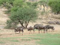 Namibia - Windhoek, back again - mountain biking!