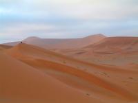 Namibia - Out for the Southern Swing Safari