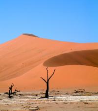 Namibia - the Namib Desert