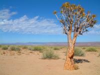 Namibia - The Orange River