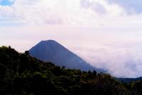 El Salvador - Santa Ana, Volcan Izalco, Cerro Verde