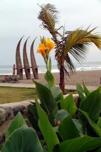 Peru - Huanchaco, the last day