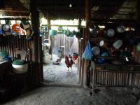 El Mirador – Day 1 of 6 - 139km Hike to a Mayan Wonder
