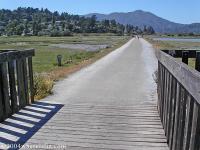 Biking Marin