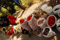 Vegetables - stop, fruits - stop...