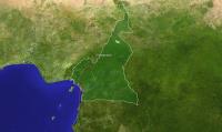 Cameroon & Gabon - Cameroon route