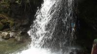 In the Great Smoky Mountains