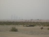 Fish, Mountains and Camels