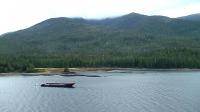 Foggy Great Inside Passage