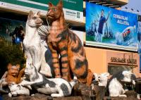 Kuching, Borneo - the cat city