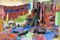 SOFT MOUNTAINOUS TREKKING AND ETHNIC MARKET (SAPA & BAC HA)