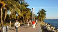 Miami by bike