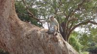 Yala National Park